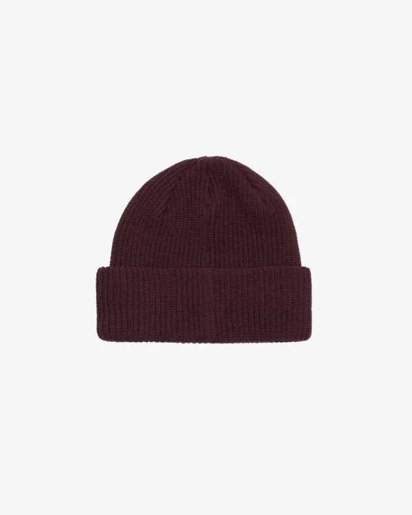 BOLD ORGANIC BEANIE*OBEY Clothing Discount